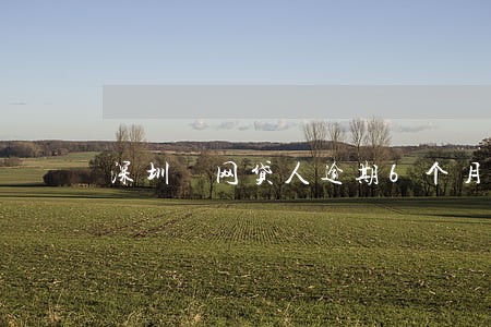 深圳 网贷人逾期6个月